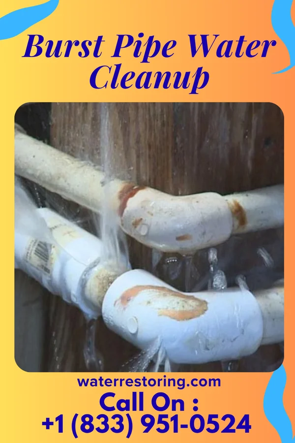 Burst Pipe Water Cleanup in Hudson, IL