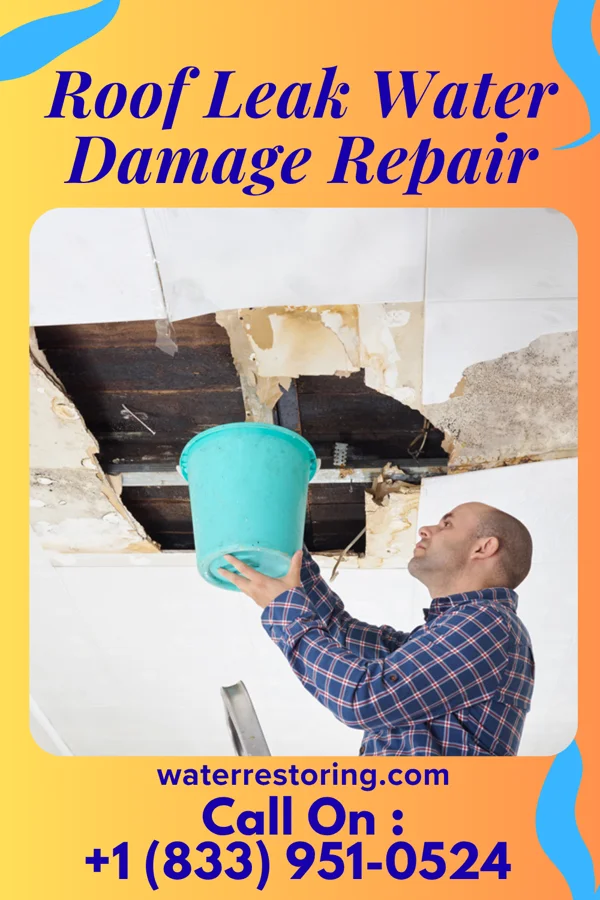 Roof Leak Water Damage Repair in Hudson, IL